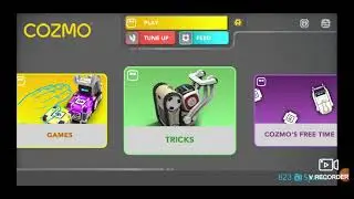 Cozmo vs Cat