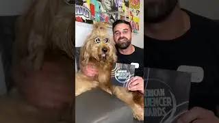 Let’s get my dog to an award show! 
