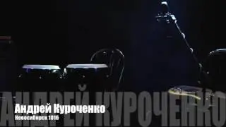 Альбом 2016 Андрей Куроченко