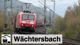 Unter der Brücke gelandet – in Wächtersbach [Kinzigtalbahn]