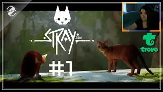 Stray #1 (прохождение на стриме)