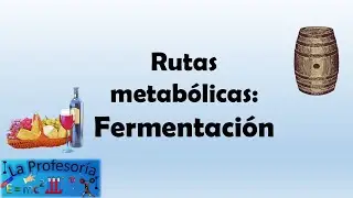 Rutas metabólicas: fermentación