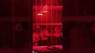 SPb, Buddha-Bar 28.07.24 #duddhabar #duddhabarspb #dm #летовспб #клубнаяжизнь #djsonar #housmusic