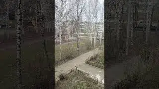 Снег в мае