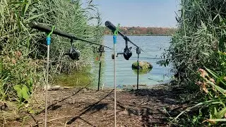 Та тут риби валом! Ловимо карася на водосховищі.