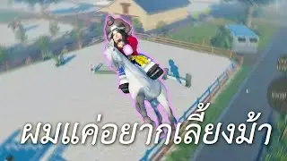ผมแค่อยากจะเลี้ยงม้า (Roblox)