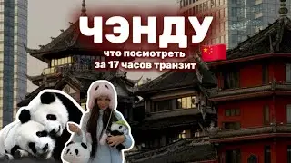 Пересадка в Чэнду | Транзит | Один день в Китае | Панда Парк