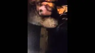 Перископ скачать игры   vasya zhigan   Слушаю музычку и еду домой