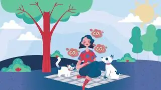Animation and Motion Graphics - Project 2 - The Cycle of Photosynthesis