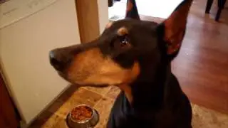 Baron Loves His Fruit!