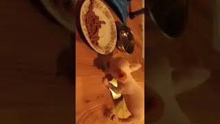 Утренний завтрак