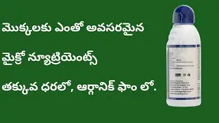 240. Organic micronutrient liquid