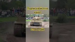 Тигр крадется🐯 
