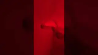 360 каждый день #13
