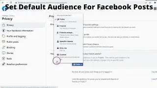 How To Set Default Audience For Posts On Facebook (2023)