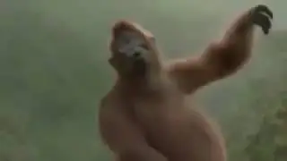 Возбуждённые человек или обезьяна.