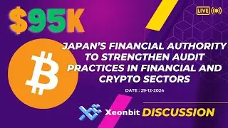 Japan to Strengthen Audit Practices in Financial and Crypto Sectors [Xeonbit Discussion]