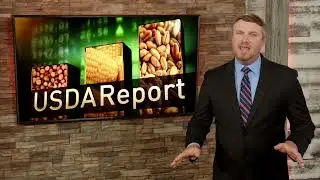 July WASDE and Reaction: Is the Top in Soybeans and How Low Does Corn Go?