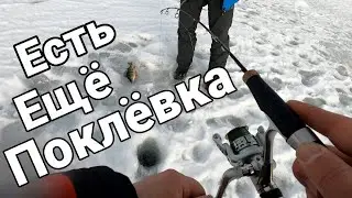 Зимняя рыбалка.В поисках хищника.Тает лёд