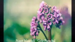 Naser Masoudi - Gole Pamchal