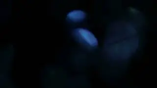 Blue Shaded Bokeh | Copyright Free Videos | Free Videos | Non-Copyright | 