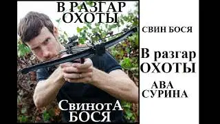 Свин Бося   В разгар Охоты