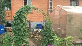 ДАЧА: Наши выходные.