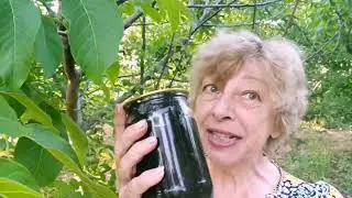 Варенье из грецкого ореха