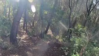 Ride on