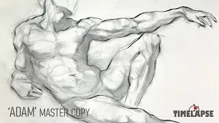 'Adam' Master Copy - Timelapse