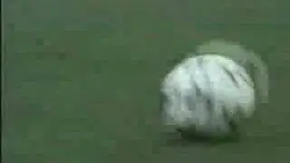 Adidas Soccer Commercial