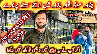 Islamabad pet market itwar Bazaar Peshawar mor H-9
