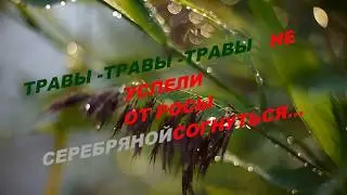 Песня-травы,травы.