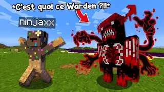 J'ai testé 24 Mythes Interdit de Minecraft..