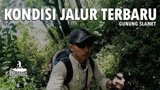 GUNUNG SLAMET VIA BAMBANGAN | REVIEW JALUR TERBARU (Part 1)
