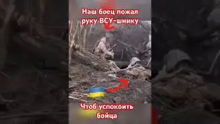 Наши самые добрые