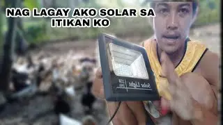 bakit kaylangan ng pailaw ang bahay ng itik/ Tara pag usapan natin
