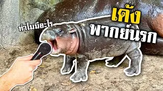 หมูเด้ง แดนเถื่อน 3 (พากย์นรก)