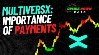 MultiversX ($EGLD): Its Potential Fundamental ADVANTAGE for This Bear Market