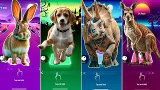 🐇 The Rabbit vs The Dog vs The Styracosaurus vs The Kangaroo | Coffin Dance Song 🪩