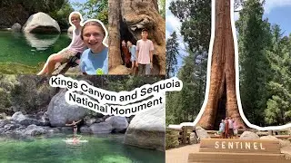 California Travel Vlog | Day Three: Kings Canyon and Sequoia Nation Park