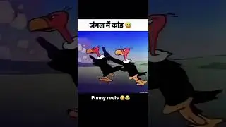 funny memes #funny #2026