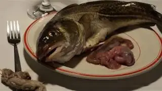 Sine Juhl - Sumpdyr