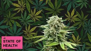 Cannabis Use Disorder