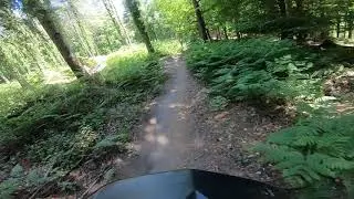 Forest of Dean sheepskull