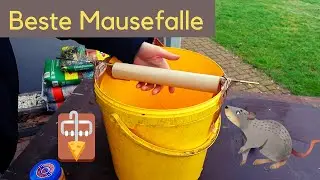 Mausefalle 🪤 DIY lebende Falle aus Eimer im Test