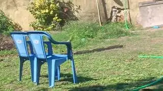 Quintal do Fidelis  Atafona São João da Barra RJ