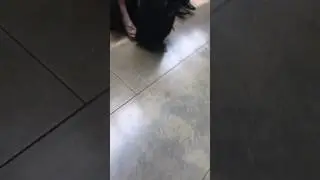 Pervert alert in dolphin mall Miami Florida