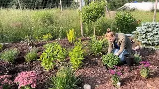 Planting Garden Interest For Summer, Fall And Winter! | Simply Bloom