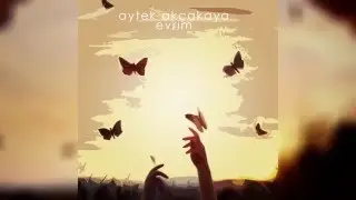 Aytek Akçakaya - Evrim